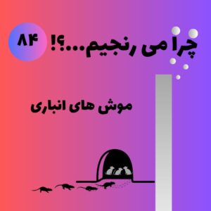 موش های انباری